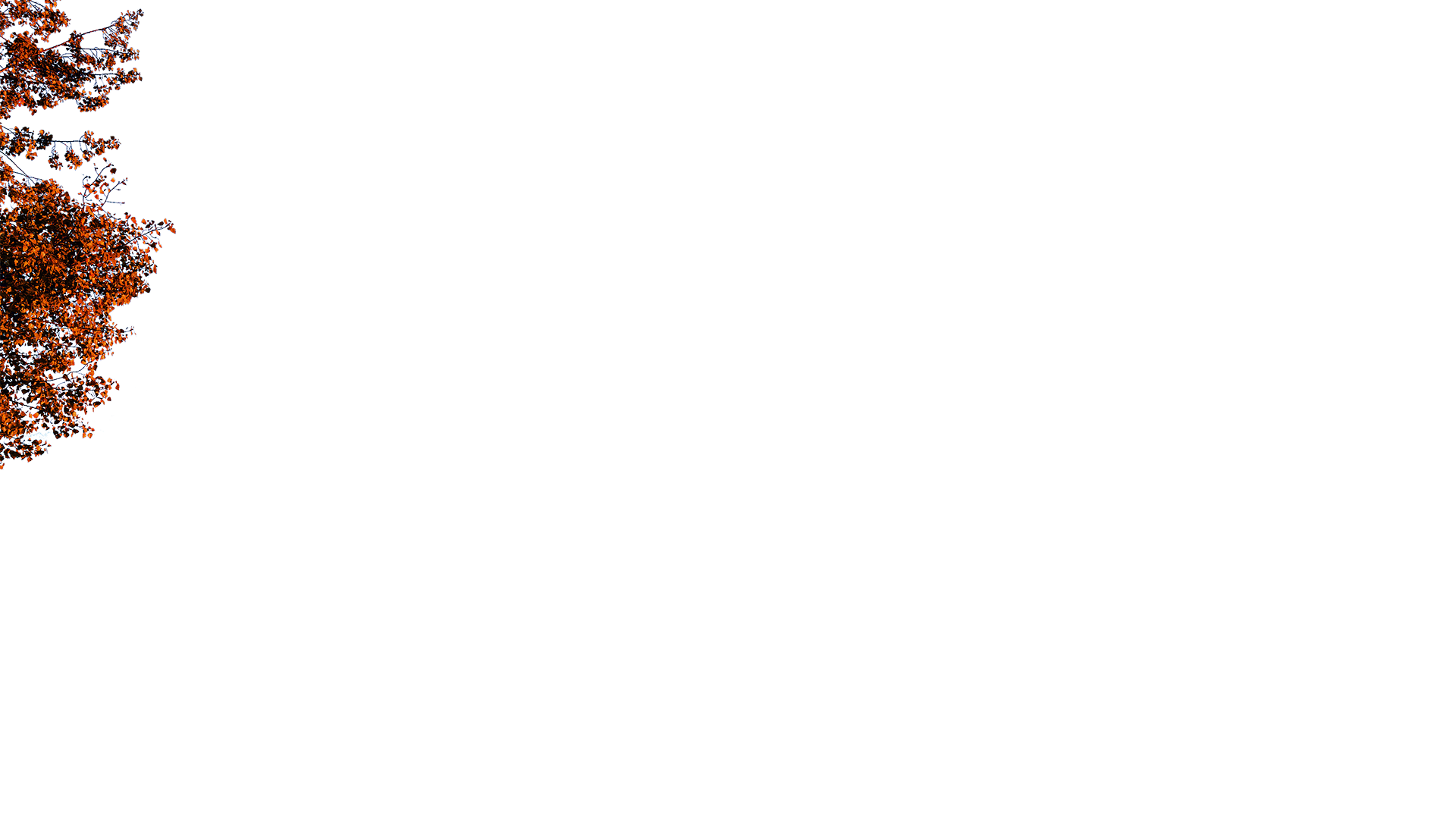 left-leaves